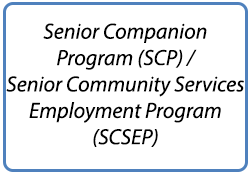 Senior Companion